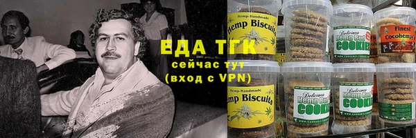 дживик Верхний Тагил